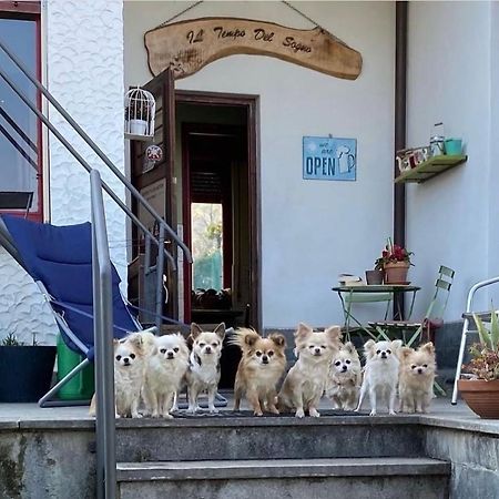 B&B Il Tempo Del Sogno Con Cani E Gatti Pet&Breakfast Baveno Dış mekan fotoğraf
