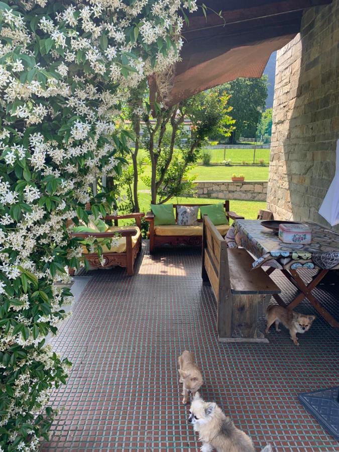 B&B Il Tempo Del Sogno Con Cani E Gatti Pet&Breakfast Baveno Dış mekan fotoğraf