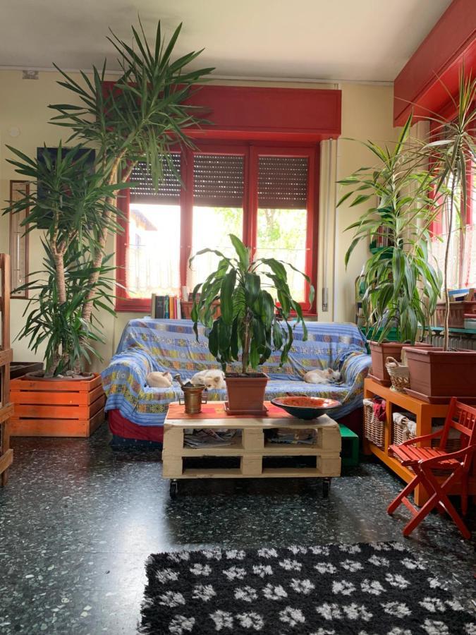 B&B Il Tempo Del Sogno Con Cani E Gatti Pet&Breakfast Baveno Dış mekan fotoğraf