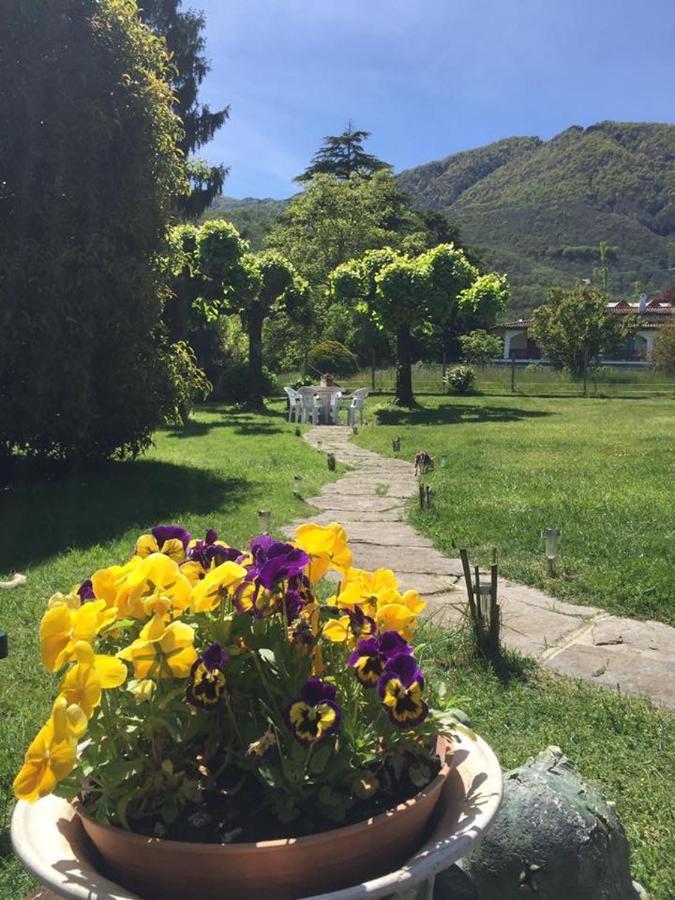 B&B Il Tempo Del Sogno Con Cani E Gatti Pet&Breakfast Baveno Dış mekan fotoğraf
