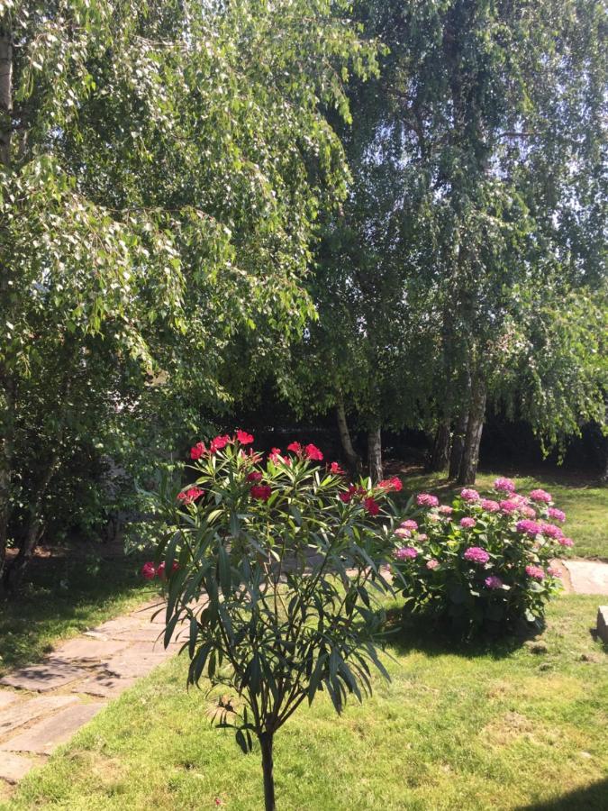 B&B Il Tempo Del Sogno Con Cani E Gatti Pet&Breakfast Baveno Dış mekan fotoğraf